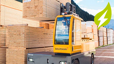 Baumann EGX