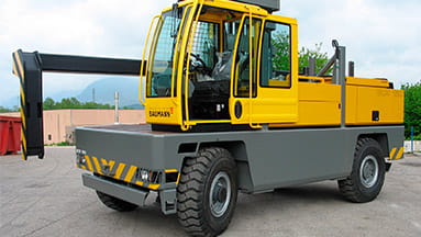 Baumann GS